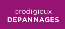 Les prodigieux dépannages